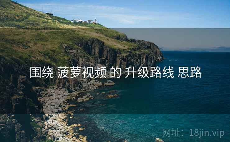围绕 菠萝视频 的 升级路线 思路