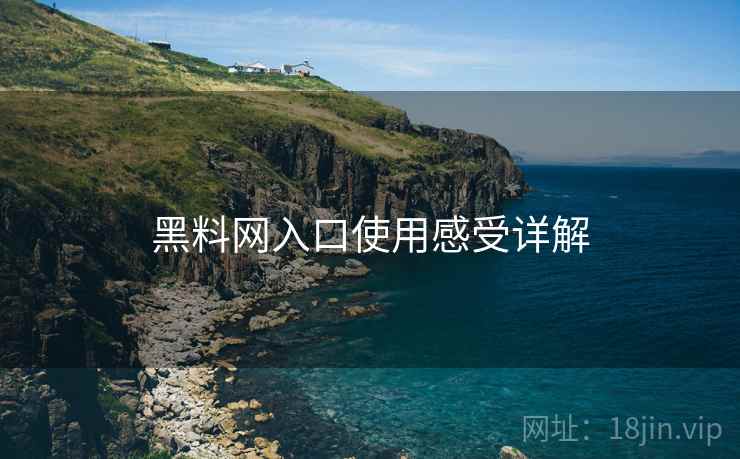 黑料网入口使用感受详解