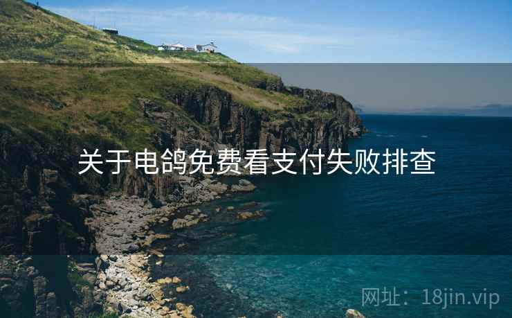 关于电鸽免费看支付失败排查