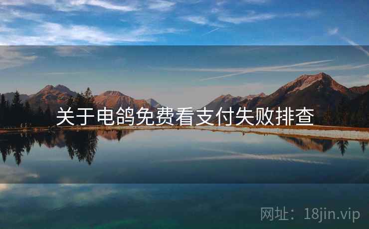 关于电鸽免费看支付失败排查