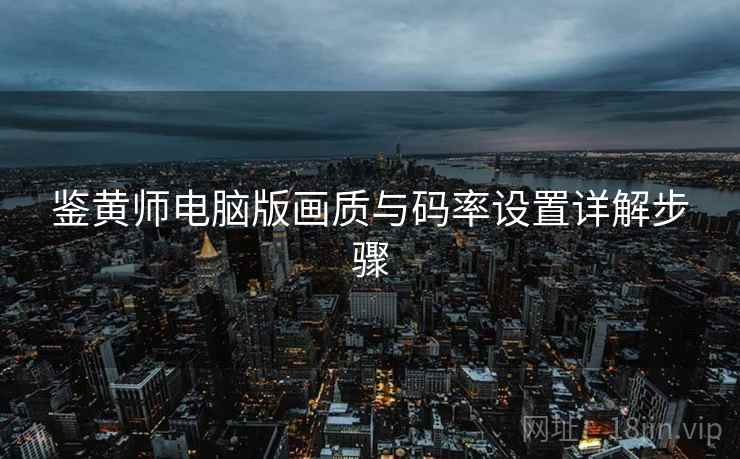 鉴黄师电脑版画质与码率设置详解步骤
