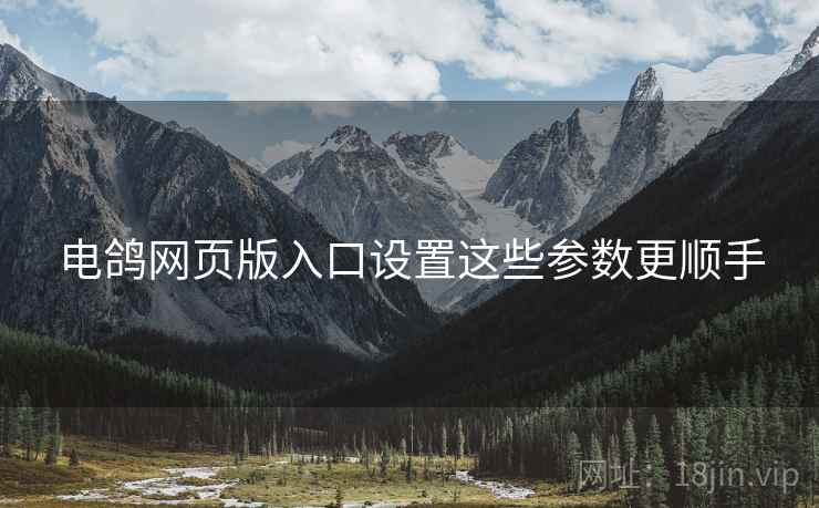 电鸽网页版入口设置这些参数更顺手