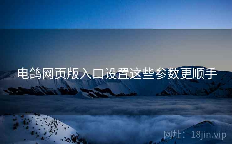 电鸽网页版入口设置这些参数更顺手