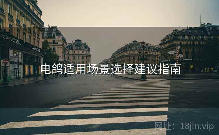电鸽适用场景选择建议指南