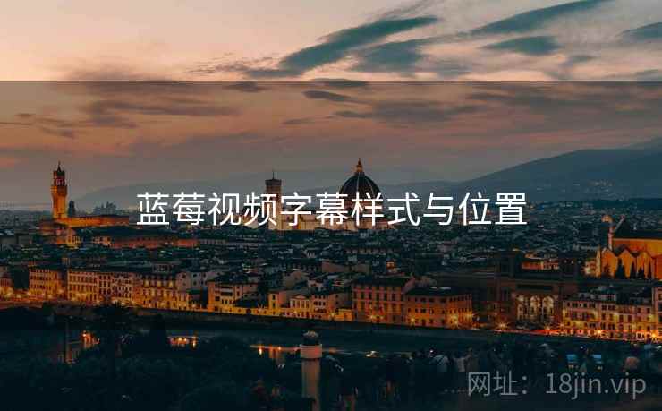 蓝莓视频字幕样式与位置