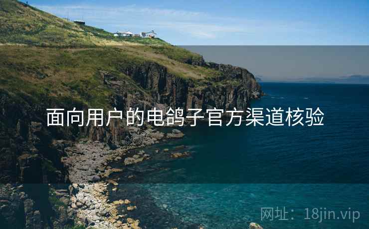 面向用户的电鸽子官方渠道核验