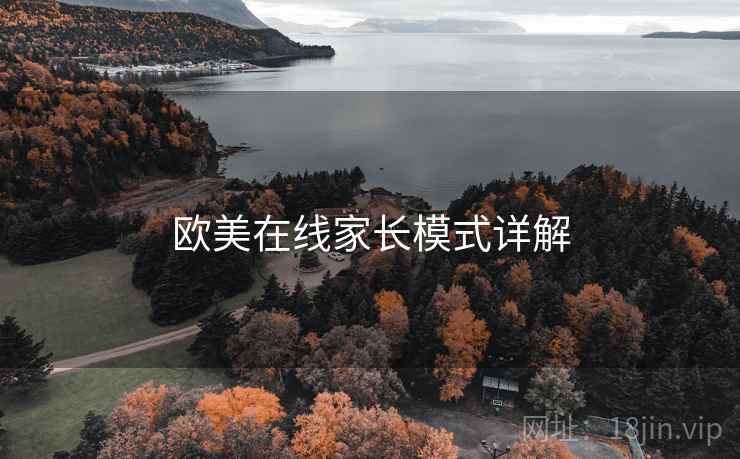 欧美在线家长模式详解