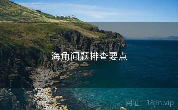 海角问题排查要点