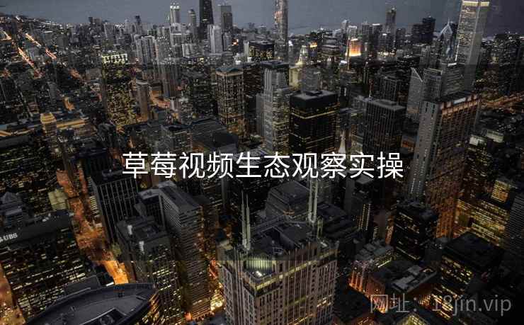 草莓视频生态观察实操