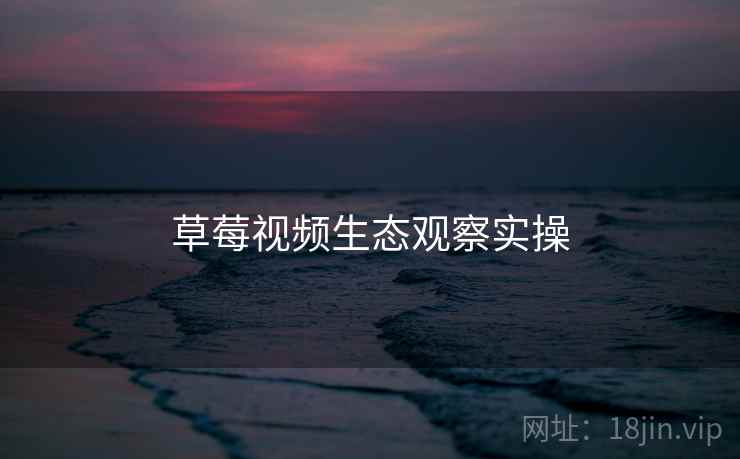 草莓视频生态观察实操
