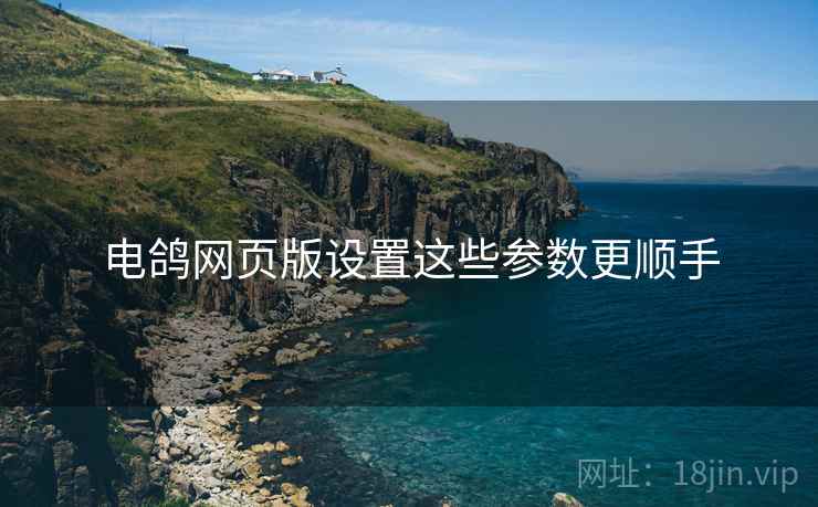 电鸽网页版设置这些参数更顺手