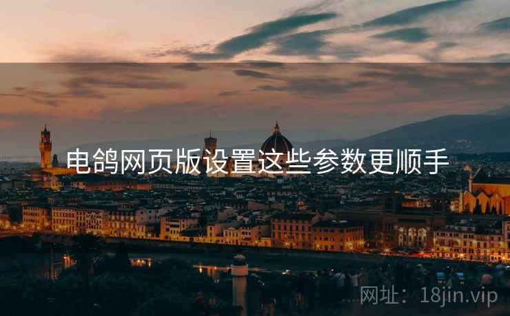 电鸽网页版设置这些参数更顺手