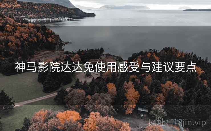 神马影院达达兔使用感受与建议要点