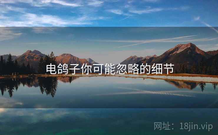 电鸽子你可能忽略的细节