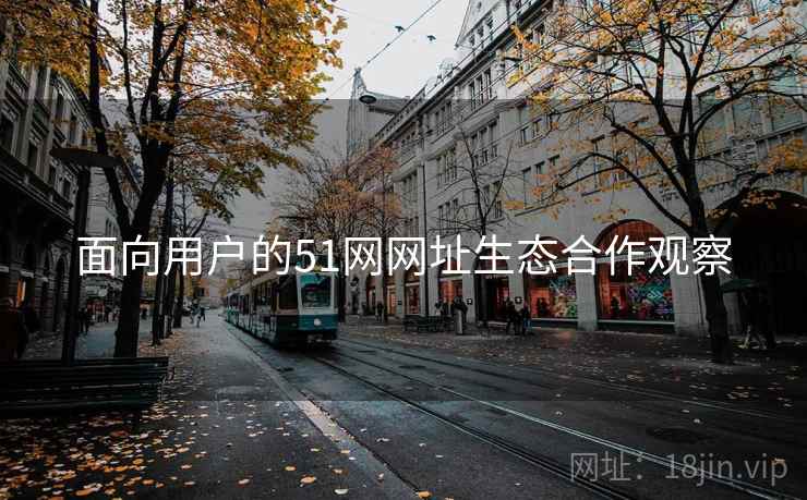 面向用户的51网网址生态合作观察