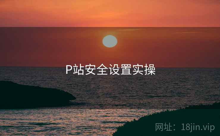 P站安全设置实操