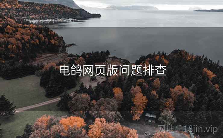 电鸽网页版问题排查