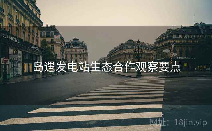 岛遇发电站生态合作观察要点