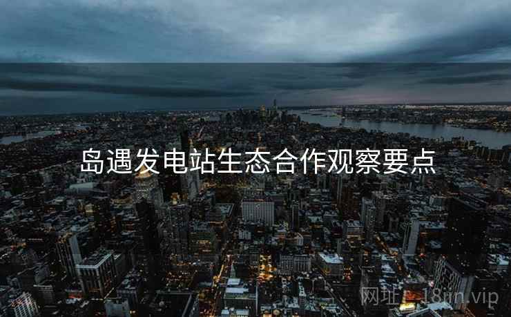 岛遇发电站生态合作观察要点