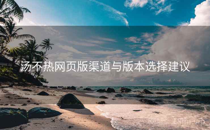 汤不热网页版渠道与版本选择建议