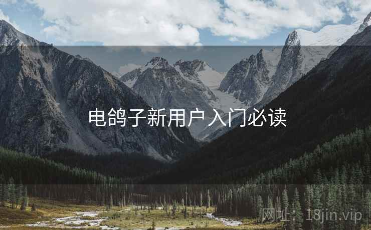 电鸽子新用户入门必读