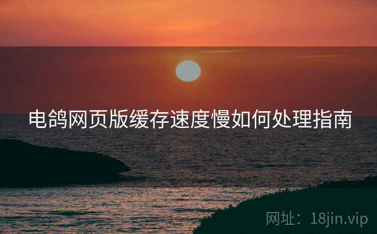 电鸽网页版缓存速度慢如何处理指南