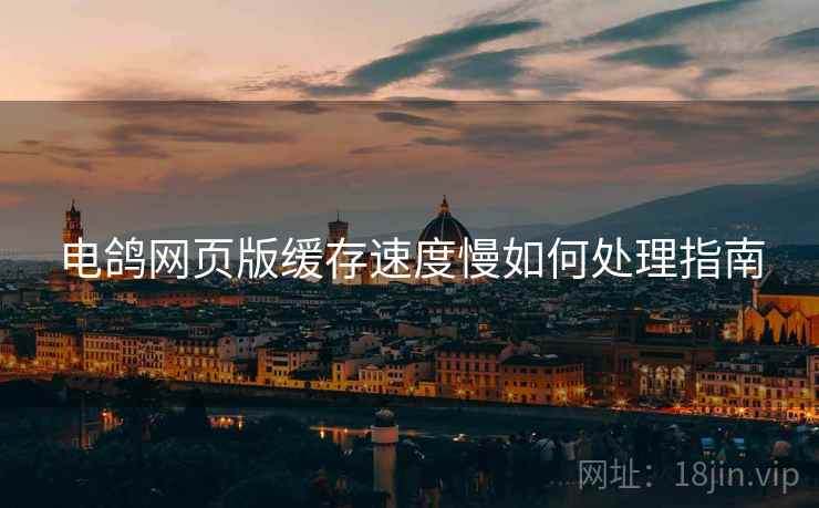 电鸽网页版缓存速度慢如何处理指南