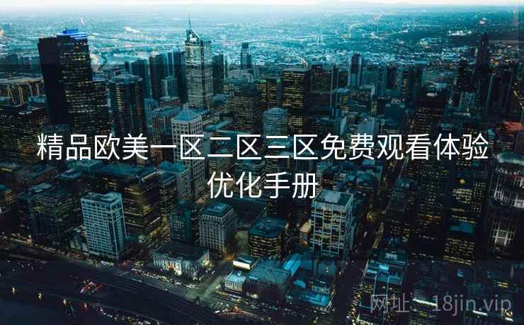 精品欧美一区二区三区免费观看体验优化手册